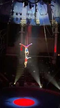 Nikulin Moscow Circus on Tsvetnoy Boulevard — an iconic Russian circus 🎪 #moscow #circus
