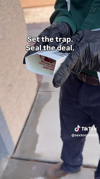 Expert Pest Control Techniques in Arizona