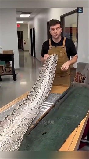Python leather items 🤯 #factshorts