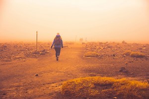 How to Survive a Sandstorm