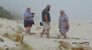 I Want To See The Video She Took😭🤣🤣 #proposal #beach #obese #falling #camera #videos #laughter #humour #funny #fypageシ #fypppppppppppppppppppppppppppppppppppppppppppppppppppppppppppppppppppppp | Daily Dose of Laughter