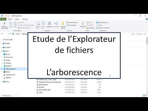 Explorateur de fichiers - l'arborescence