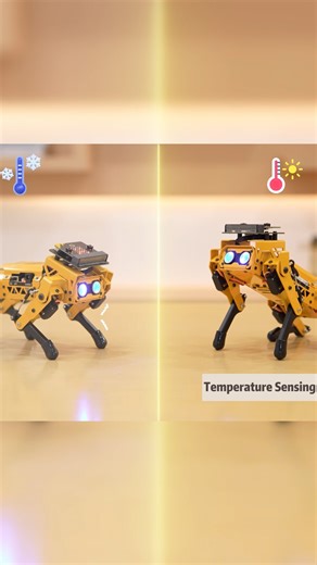 Hiwonder on Instagram: "Next-level bionics! 🔥Senses heat, shivers in the cold. Change its path and MechDog shows directional cruising! The sense of direction is better than mine... 🧭 Explore More👉https://www.hiwonder.com/products/mechdog #ESP32 #robotdog #robotics #robot #Arduino #Scratch #AI #opensource #python #Code #techtok #algorithm #chip #codinglife #STEAMLearning #steameducation #TechTutorial #roboticseducation #AIlearning #development"