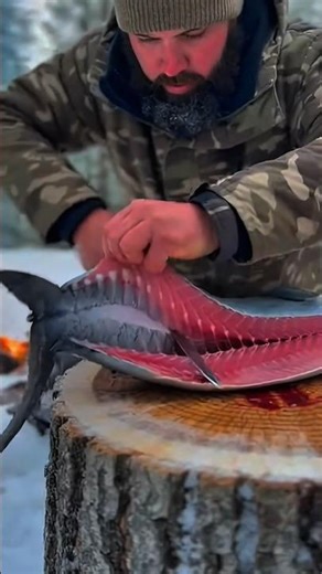 Grilling Fresh Bonito Fish in -10°C|Extreme Winter Wilderness Cooking 🌲🐟