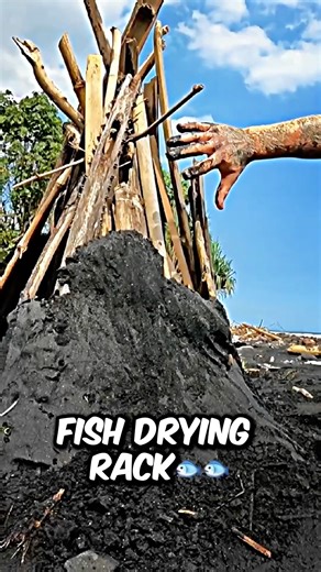 IS IT POSSIBLE to dry fish from trash?🐟💪