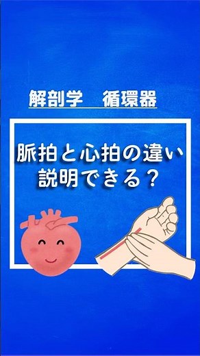 脈拍と心拍の違い