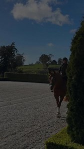 372 reactions · 33 shares | If your core training doesn’t improve...