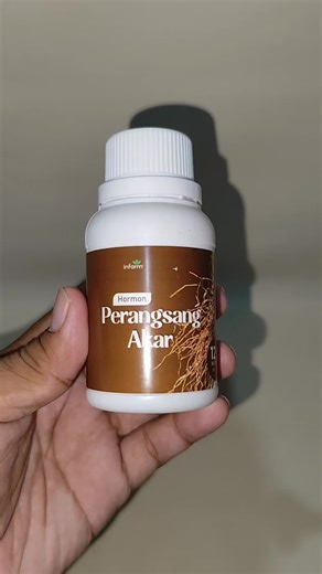 endik casdi on TikTok