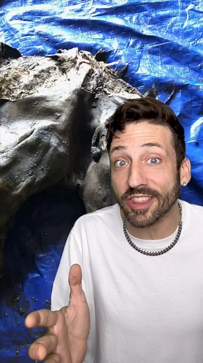 This should have been breaking news! 👀 | Odd Danny