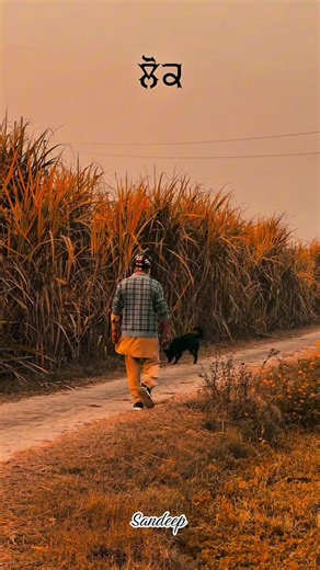 #sandeep #sataus #tik_tok #🇩🇪