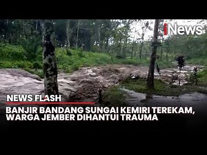 Video Detik-Detik Banjir Bandang Sungai Kemiri Jember Hebohkan Warga | News Flash