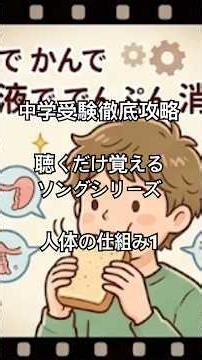 人体の仕組み