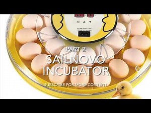 30 Egg Incubator Fully Automatic Digital Poultry Hatcher Sailnovo part 2