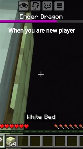 minecraft noob player