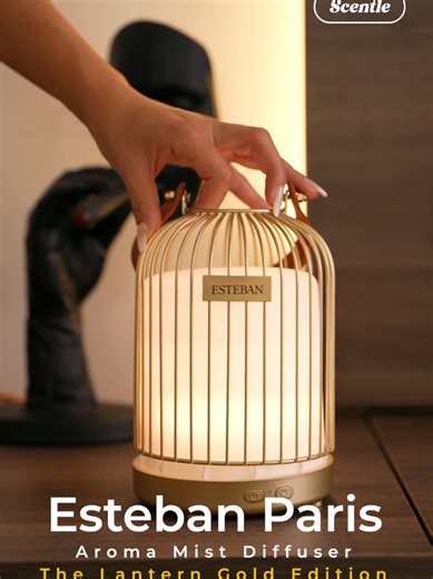 Create the perfect ambiance with the Esteban Paris Aroma Mist Diffuser – Lantern Gold edition. Its elegant design and soothing aromas bring a touch of luxury to any room. Bring home the elegance. Link in Bio #EstebanParis #LuxuryDiffuser #GoldenGlow #HomeFragrance #ElegantLiving #AromaEssentials #ScentleShop