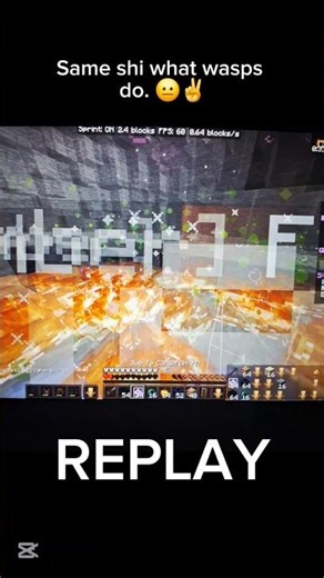 wasps #minecraft #freefire #gaming #roblox #fyp #viral #fortnite