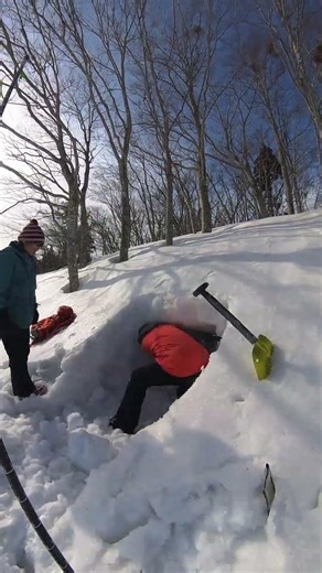 北八甲田 高田大岳で雪洞ランチ 2026.3.1