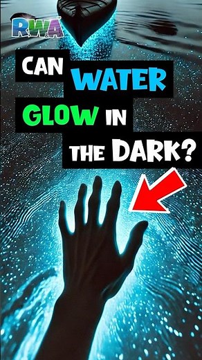 Kids Discover GLOWING Water! 🌟 Puerto Rico Bio Bay Adventure!