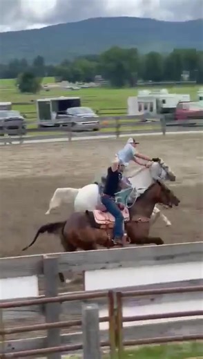 4.7K views · 57 reactions | Consigned to the Feb 3ed auction Lot #162 ICE MAN 12 year old grey grade 15H gelding Ice man is a finished head horse. | Smokey Lane Stables | Facebook