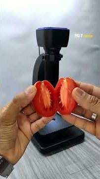Tomato bacteria under the microscope #shorts #microscope #becteria #biology #science
