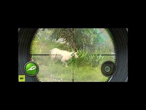 Mastering the Wild: Hunting Clash Gameplay Guide and Tips