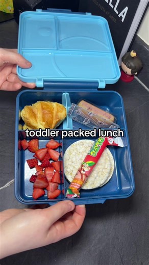 Creative Toddler Lunch Ideas for Busy Moms