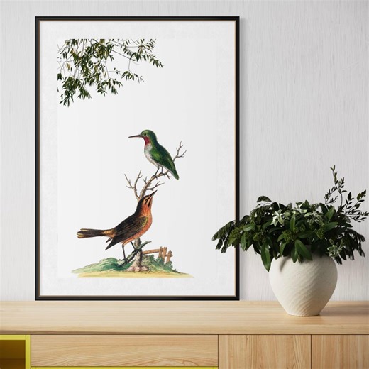 Vintage Bird Wall Art Printable, Antique Bird Illustration Poster, Botanical Bird Print, Nature Wall Decor, Printable Animal Wall Art - Etsy