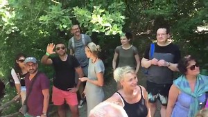 Deaf International Party on Reels