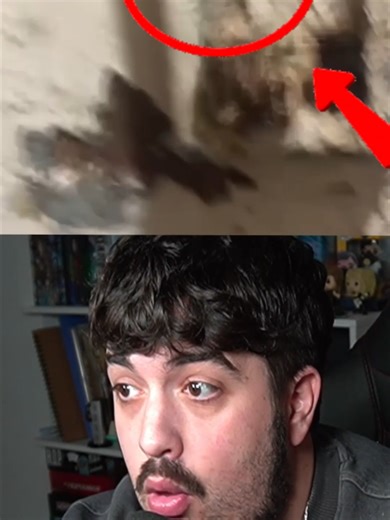 ESTO ES TODO LO QUE SABEMOS DE LA CRIATURA PÁJARO🐦‍⬛ #terror #fnf #viral