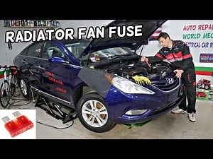 What is the radiator fan fuse in the Hyundai Sonata?