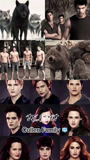 twilight version who's the best wolves or vampires? #twilight #te.edit #TE.Movie.Edit @TikTok