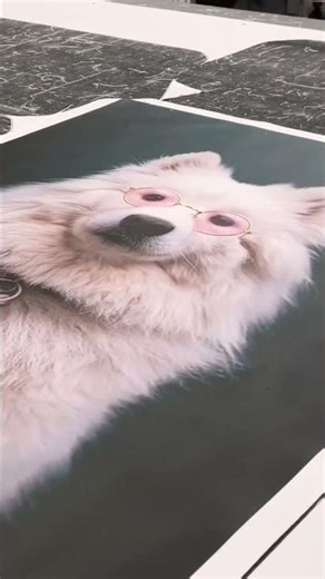 Your Custom Canvas Prints from CanvasOnSale.com
