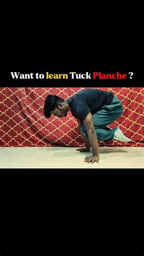 How To Get Tuck Planche (Beginner Progression) #planche#calisthenics #trendingshorts