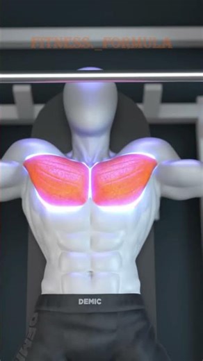 Chest Workout Tutorial | Smith Machine Workout | #ytshorts #beginnerworkout #chestworkout #tutorial