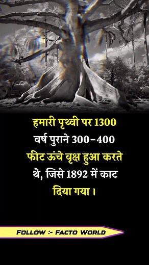 AMAZING FACT #factsyoudidntknow #hindifacts #amazingfacts #india #motivation #dailyfacts | Facto World