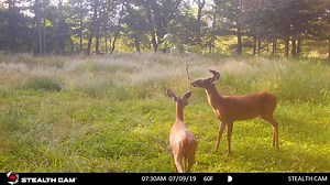 255K views · 1.7K reactions | A setup video from southwest WI with...