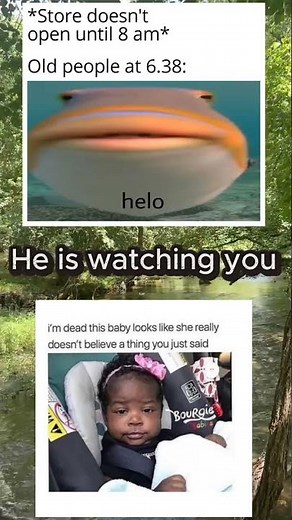 These Memes Got Me Making That Fish Face Without Realizing 💀😂