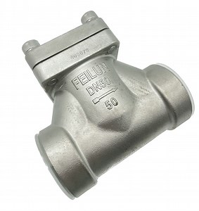 [Hot Item] 50mm 50bar Welding Stainless Steel Cryogenic Check Valve Dh-50b