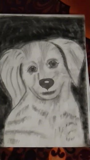 How to real doge 🐕 drawing with pencil # artist # drawing