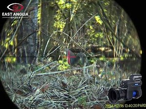 Pard NV007V2 Night Vision Add On footage of day and night