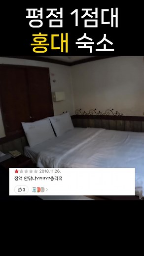 평점 1점만 골라가는 홍대 투어 (숙소편) #홍대 #홍대입구 #mz #핫플 #핫플레이스 #투어 #여행 #여자 #여성 #챌린지 #평점 #리뷰영상 #리뷰톡 #리뷰크리에이터 #리뷰 #챌린지크리에이터 #챌린지메이커#챌린지도전 #도전 #숙소 #모텔 #호텔 #여관 #숙박 #청소 #곰팡이 #위생 #궁금 #해결