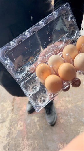 BOZOR OLAMI | ☎️+998 50-455-80-90 | Instagram