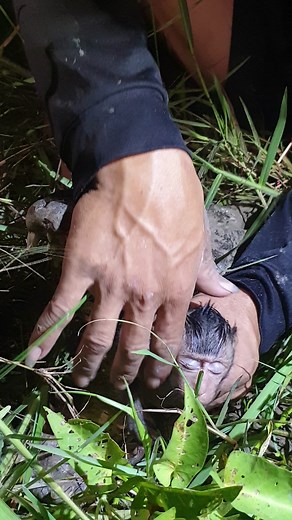 22K views · 164 reactions | Help Poor baby stuck #Poorlittlemonkey #Babymonkey #Helpbabymonkey #Recusemonkey #Babymonkey #Cutemonkey #Sadbabymonkey #monkeylove #monkeylife #monkeylife #monkeyfun #Monkeybaby #Monkeyvideos #Monkeylover | Monkey Mason | Facebook