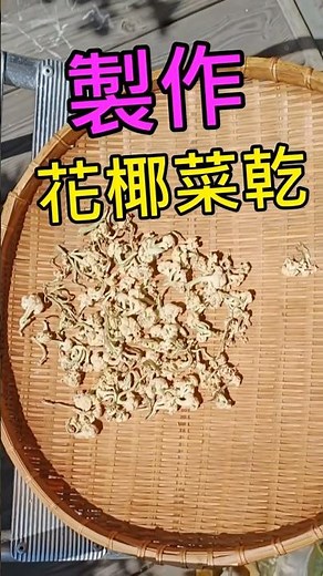 How to make dried cauliflower at home (DIY)