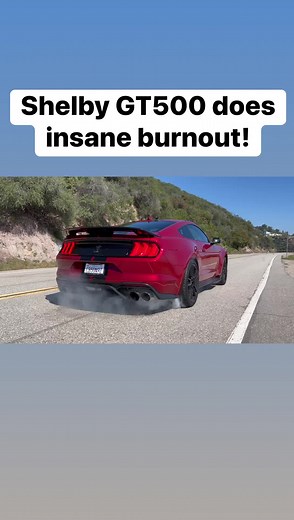 Shelby GT500 does insane burnout! #ford #mustang #shelby #gt500 | Vehicle Virgins