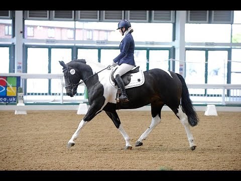 Prelim 1 Dressage Test 72.11%