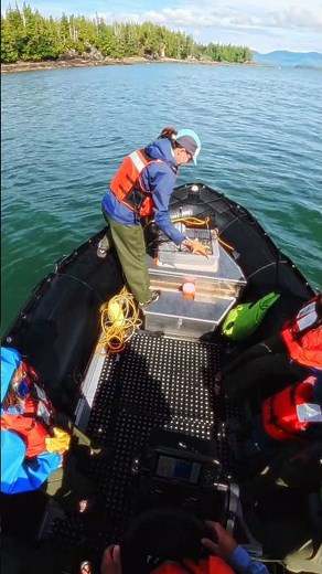 No Big Boat, No Big Crowds — Just Pure Alaska. Out to Sea Expeditions