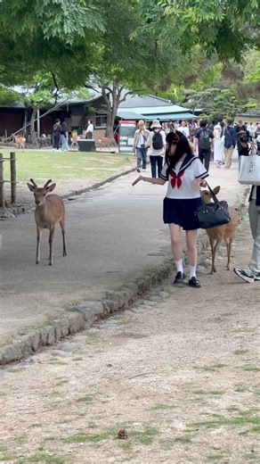 Amazing Things to Do in Nara 🇯🇵🌸 | Travel Guide 2026 🦌