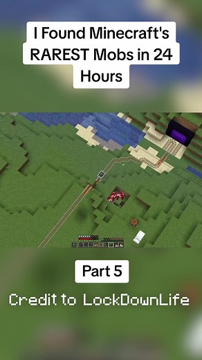 Exploring Minecraft's Rarest Mobs in 24 Hours