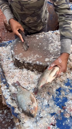 How Making on Instagram: "How to Clean Fish"